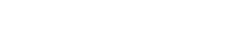 Designed Securities Ltd.